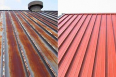 65301433_2494205757276773_9165434744802902016_n